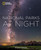 National Parks at Night by Babak Tafreshi, 9781426226069