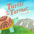 Turtle on the Tarmac (A Picture Book) by Annette Bay Pimentel, Yusuke Watanabe, 9781419784712