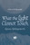 What the Light Cannot Touch by Alyssa Hollingsworth, 9798890036513