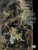 Stabat Mater in Full Score by Giovanni Battista Pergolesi, 9780486296333