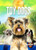 Toy Dogs by Elizabeth Noll, 9781644874462