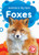 Foxes by Amy McDonald, Dana Fleming, 9781644873083