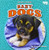 Baby Dogs by Margaret Shanley, 9781642809626
