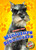 Miniature Schnauzers by Kaitlyn Duling, 9781644871164