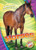 Horses by Christina Leighton, 9781626177246