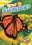 Summer by Rebecca Pettiford, 9781626177628