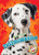 Dalmatians by Mari Schuh, 9781626176133