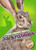 Jackrabbits by Christina Leaf, Dana Fleming, 9781626175396