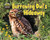 Burrowing Owl's Hideaway by Dee Phillips, 9781627243070