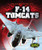 F-14 Tomcats by Denny Von Finn, 9781600149412