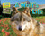 A Wolf's Life by Ellen Lawrence, 9781617725975