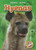 Hyenas by Kari Schuetz, 9781600147173