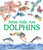Some Kids Are Dolphins by David Elliott, Kate Fedos, 9781536243697