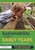 Sustainability in the Early Years (An Essential Guide for Educators) by Zoë Raven, Santa Svike, Becky Watanabe, 9781041079583