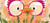Late Bloomer by Frenci Sanna, Frenci Sanna, 9798217042975