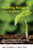 Teaching Religion and Science (Effective Pedagogy and Practical Approaches for RE Teachers) by Tonie Stolberg, Geoff Teece, 9780415548205