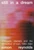 Still in a Dream (Shoegaze, Slackers, and the Reinvention of Rock, 1984-1994) by Simon Reynolds, 9780306833809
