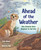 Ahead of the Weather (How Animals Have Adapted to Survive) by Erin Silver, Amanda Key, 9781459844711