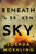 Beneath a Broken Sky (A Novel) by Joshua Moehling, 9781728279077