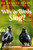 Why Do Birds Sing? by Grainne Creary, 9781761472329