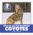How Do We Live Together? Coyotes by Katie Marsico, 9781602796218