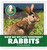 How Do We Live Together? Rabbits by Katie Marsico, 9781602796225