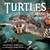 Turtles Heading Home! by Liza Ketchum, Jacqueline Martin, Phyllis Root, 9781623549381