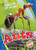 Ants by Patrick Perish, 9781626176577