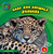Jaguars by Katie Marsico, 9781610804547
