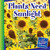 Plants Need Sunlight - 9781631880810 by Jennifer Colby, 9781631880810