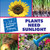 Plants Need Sunlight - 9781602792739 by Christine Petersen, 9781602792739