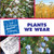 Plants We Wear - 9781602792777 by Pam Rosenberg, 9781602792777