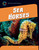 Sea Horses - 9781624316166 by Samantha Bell, 9781624316166 Sea Horses - 9781624316166 by Samantha Bell, 9781624316166