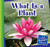 What Is a Plant? - 9781631880858 by Jennifer Colby, 9781631880858