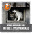 What Should I Do? If I See a Stray Animal by Wil Mara, 9781610800501