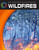 Wildfires - 9781610804127 by Tamra B. Orr, 9781610804127