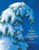 A Wish to be a Christmas Tree - 9781585362691 by Colleen Monroe, Michael Glenn Monroe, 9781585362691
