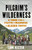 Pilgrim's Wilderness (A True Story of Faith and Madness on the Alaska Frontier) by Tom Kizzia, 9780307587831