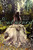 Entwined by Heather Dixon, 9780062001047