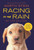 Racing in the Rain (My Life as a Dog) - 9780062015761 by Garth Stein, 9780062015761
