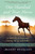 One Hundred and Four Horses (A Memoir of Farm and Family, Africa and Exile) - 9780062204394 by Mandy Retzlaff, 9780062204394