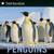 Penguins - 9780064462211 by Seymour Simon