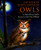 The Book of North American Owls by Helen Roney Sattler, Jean Day Zallinger, 9780395900178