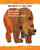 Brown Bear, Brown Bear, What Do You See? - 9780805087185 by Bill Martin, Jr., Eric Carle, 9780805087185