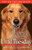 Until Tuesday (A Wounded Warrior and the Golden Retriever Who Saved Him) by Luis Carlos Montalvan, Bret Witter, 9781401310752