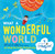 What a Wonderful World - 9781627792547 by Bob Thiele, George David Weiss, Tim Hopgood, 9781627792547