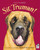 Sit, Truman! by Dan Harper, Cara Moser, Barry Moser, 9780152050689