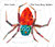 The Very Busy Spider - 9780399256011 by Eric Carle, Eric Carle, 9780399256011