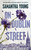 On Dublin Street by Samantha Young, 9780451473943