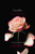 Everafter - 9781442409187 by Elizabeth Chandler, 9781442409187